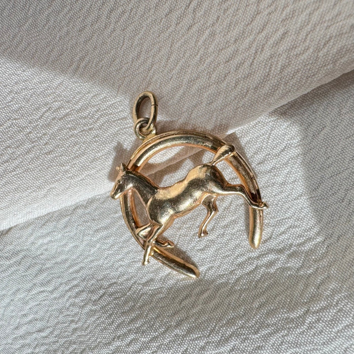 14k Equestrian Horseshoe Charm