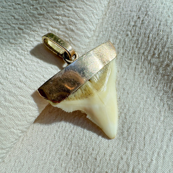 Victorian 10k Shark Tooth Pendant
